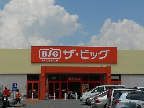 スーパー　ザビッグ（スーパー）まで350m