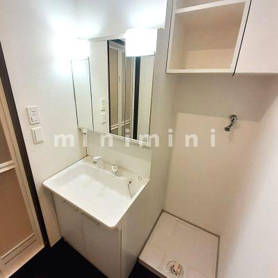 洗面設備　※写真は別号室のものですので現状優先とさせていただきます