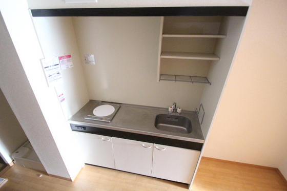 キッチン　※別号室の写真です