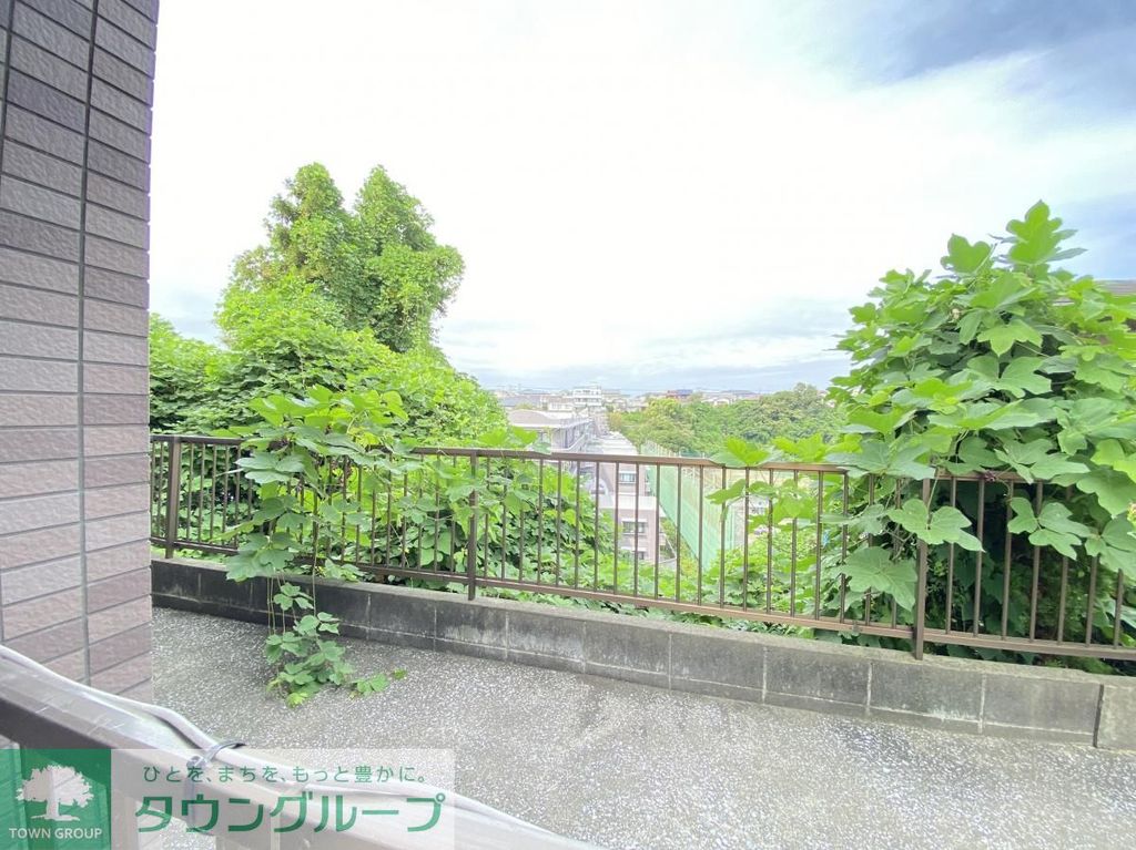 眺望　★同仕様★