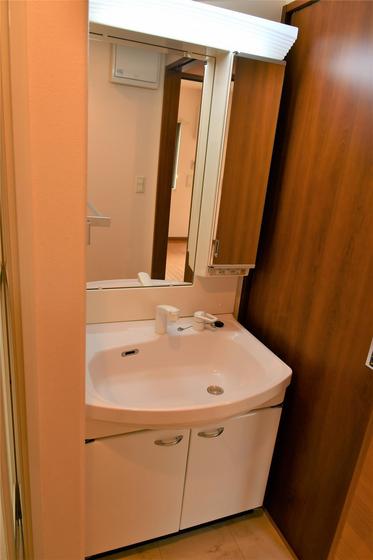 洗面設備　※他号室の写真です