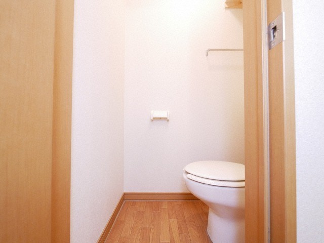 トイレ　清掃済みのトイレ♪