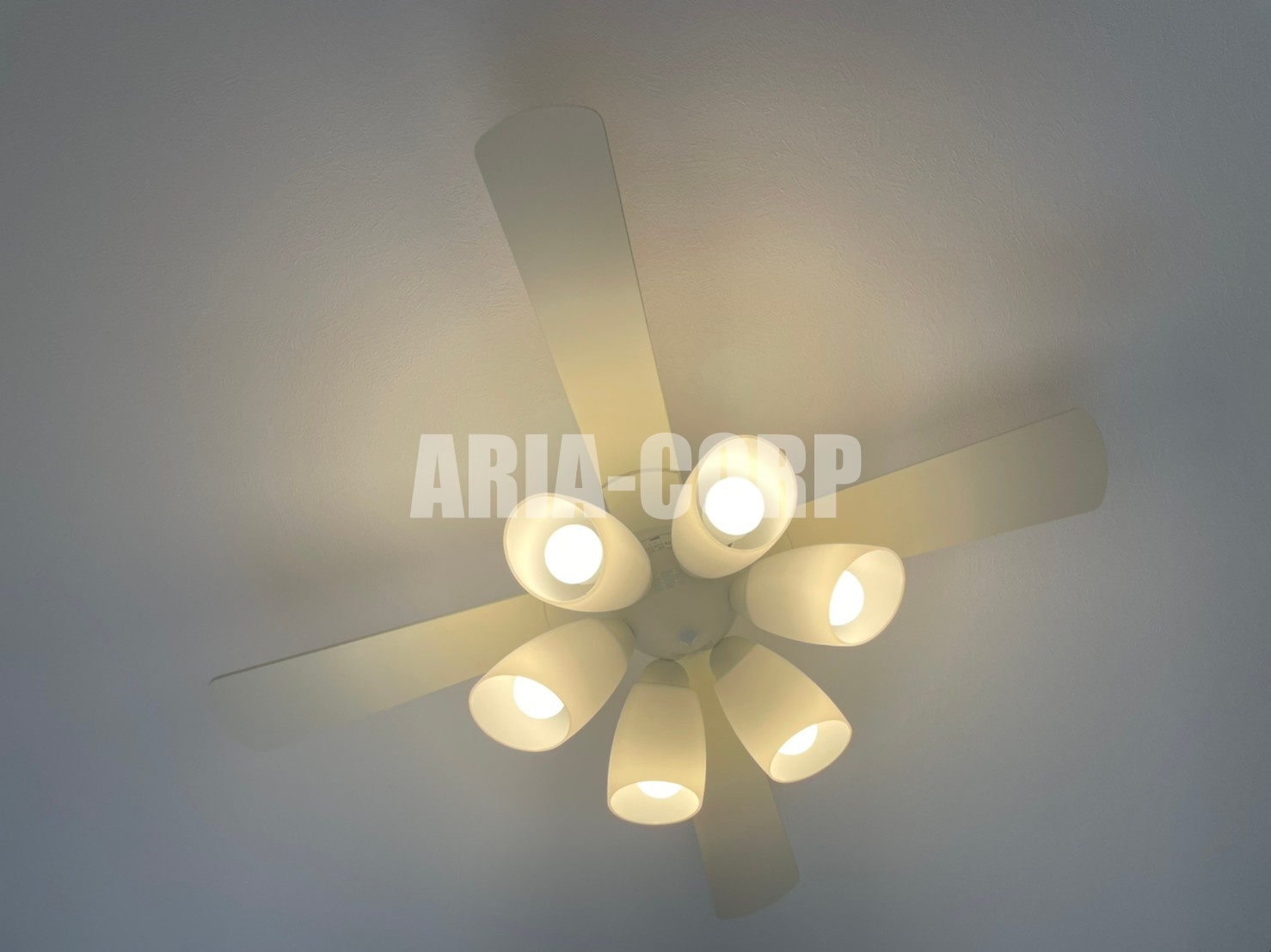 その他設備　カフェのようなシーリングライト搭載です！