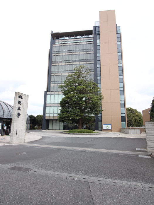 大学・短大　淑徳大学（大学・短大）まで700m