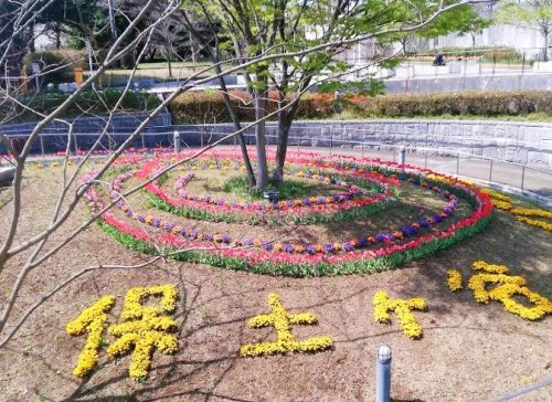 公園　神奈川県立保土ケ谷公園（公園）まで741m
