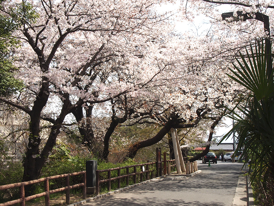公園　江波山公園（公園）まで254m