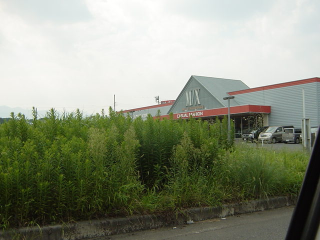 その他　ＭＸ（洋品店）（その他）まで200m