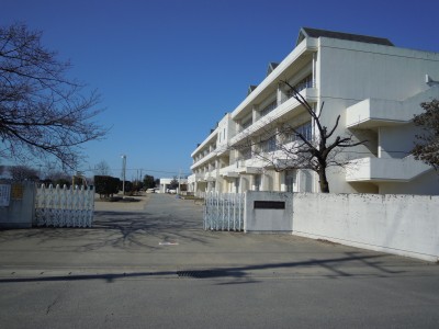小学校　玉村町立南小学校（小学校）まで795m