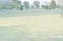 公園　汐入公園（公園）まで988m