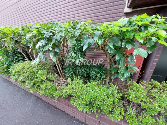 庭