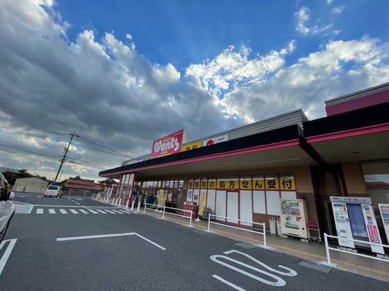 ドラックストア　ウォンツ西条西店（ドラッグストア）まで794m