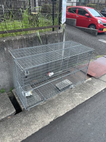 収納　別部屋同間取りの写真です。