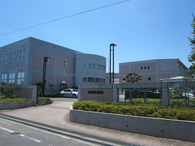 その他　実践女子大学（その他）まで643m