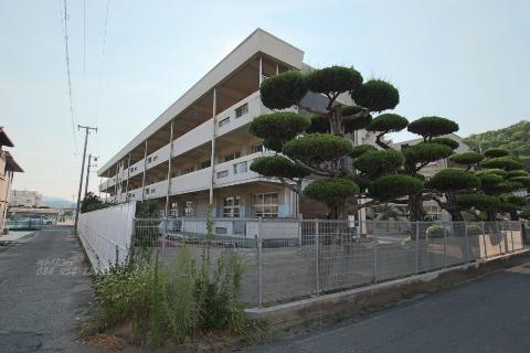 その他　尾道市立向東中学校（その他）まで811m