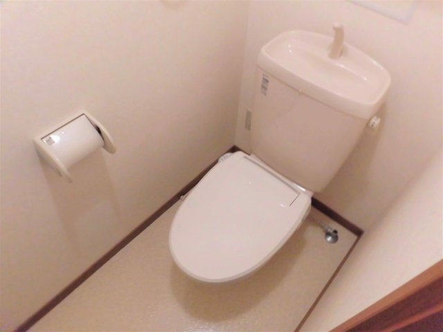 ヴァイスハイムのトイレ写真
