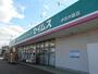 ドラックストア　ドラッグセイムス伊奈内宿店（ドラッグストア）まで1010m