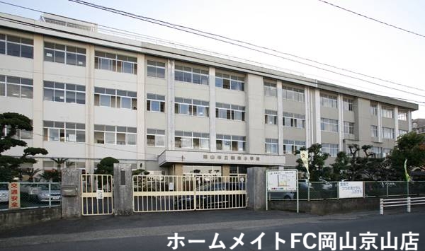 小学校　岡山市立岡南小学校（小学校）まで172m