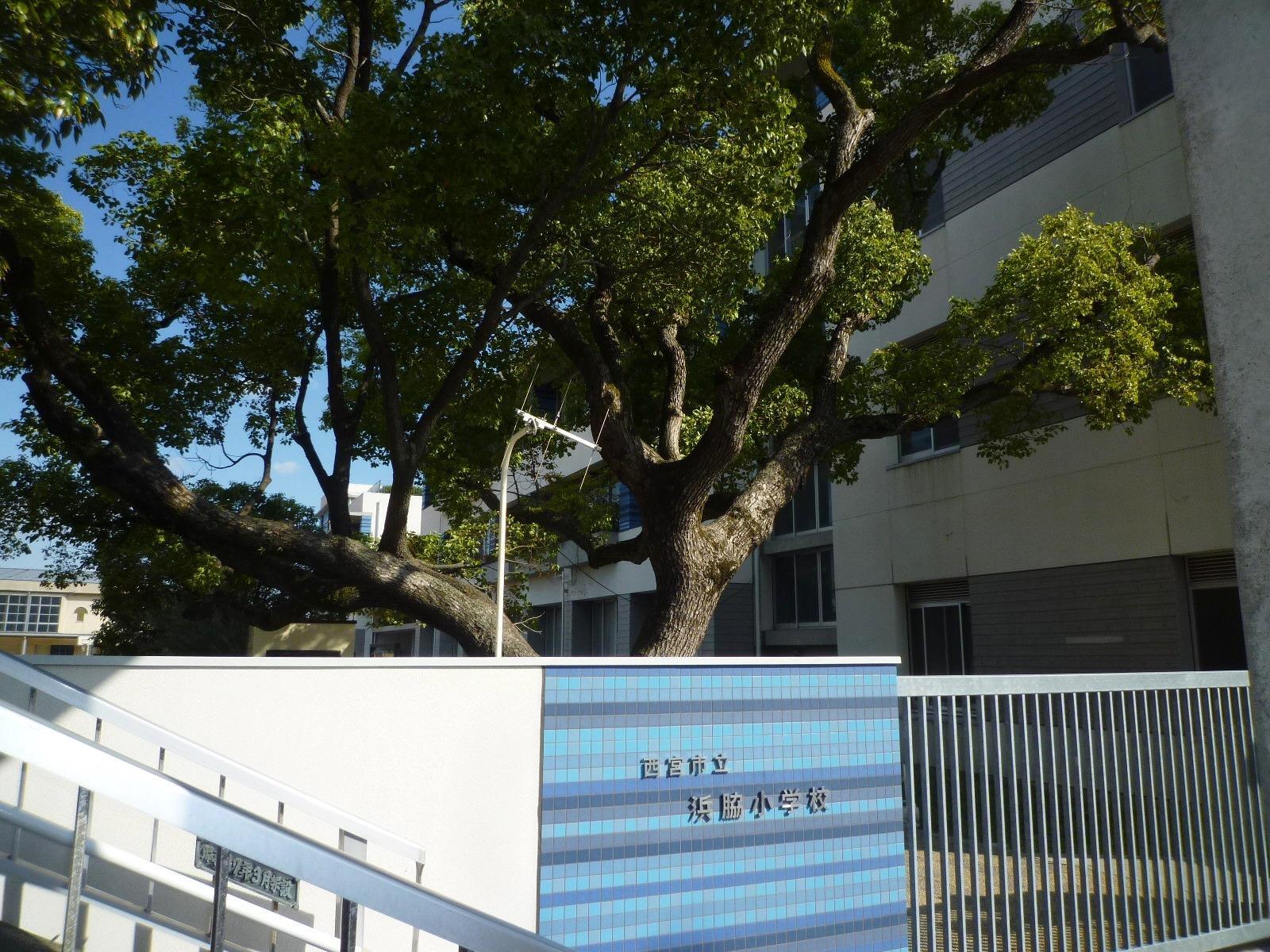 小学校　浜脇小学校（小学校）まで550m