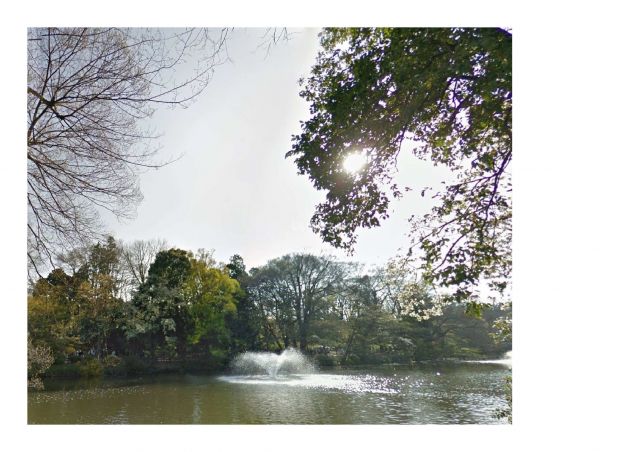 公園　井の頭公園（公園）まで1093m