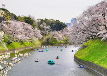 その他　千鳥ケ淵（その他）まで894m