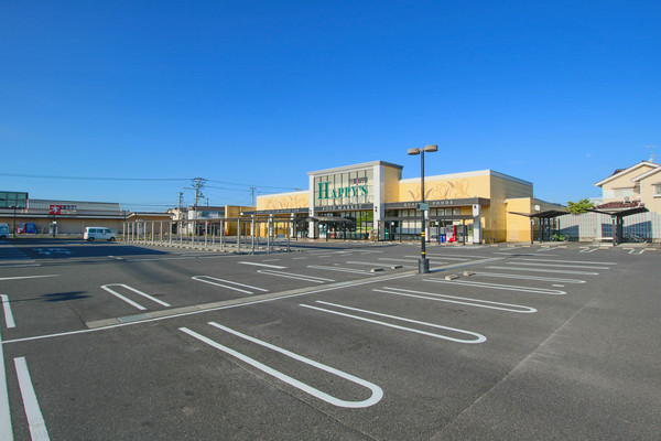 スーパー　ハピーズ国府市場店（スーパー）まで669m