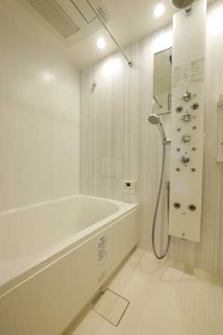 バス・シャワールーム　ブランシエスタ白山の風呂