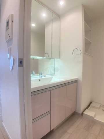 洗面設備　エクセレンシア駒込　参考