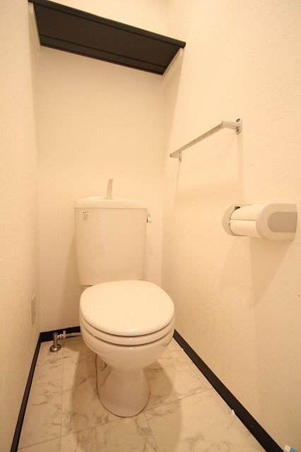 トイレ　写真は別号室です。