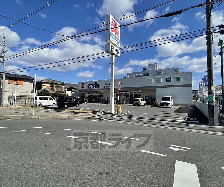 ドラックストア　ダックス長岡京花山店（ドラッグストア）まで300m