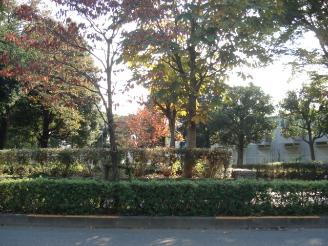 その他　仲田公園（その他）まで655m
