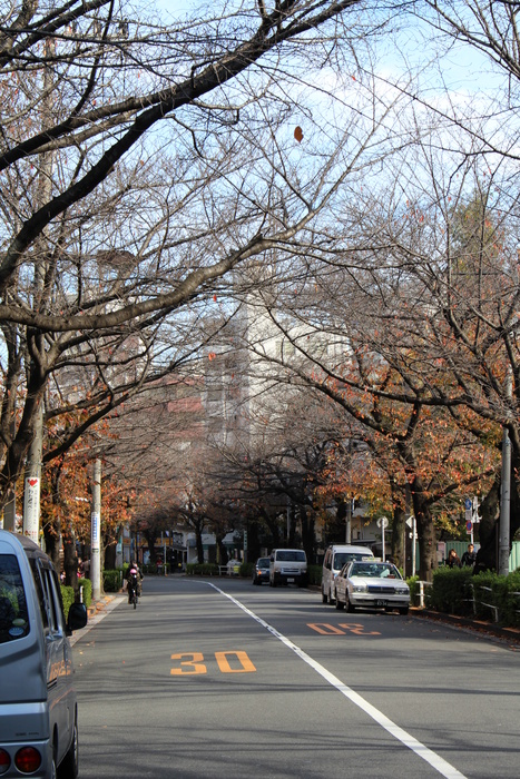 公園　かむろ坂（公園）まで1100m