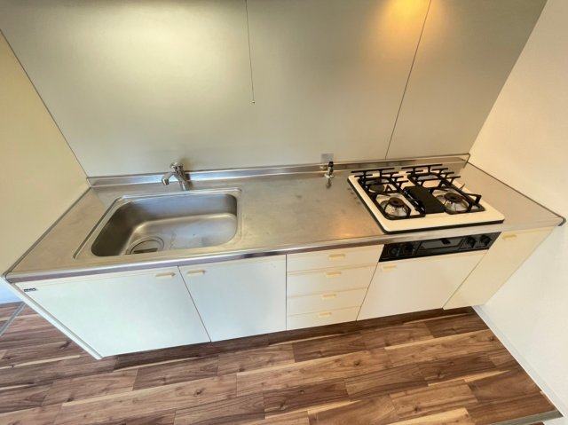 グリーンハイツ妙法寺Bのキッチン写真