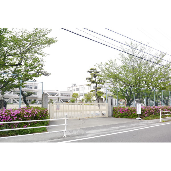小学校　岩倉市立岩倉南小学校（小学校）まで737m