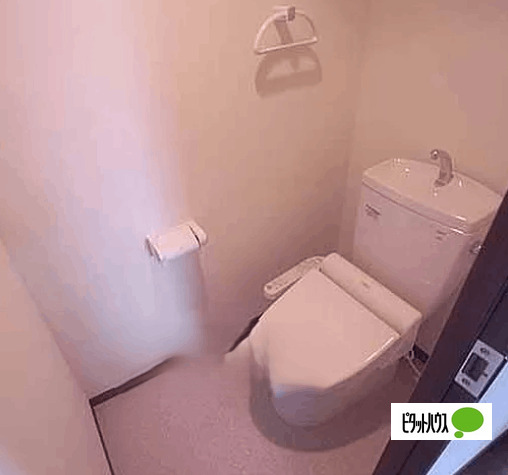 South Westのトイレ写真