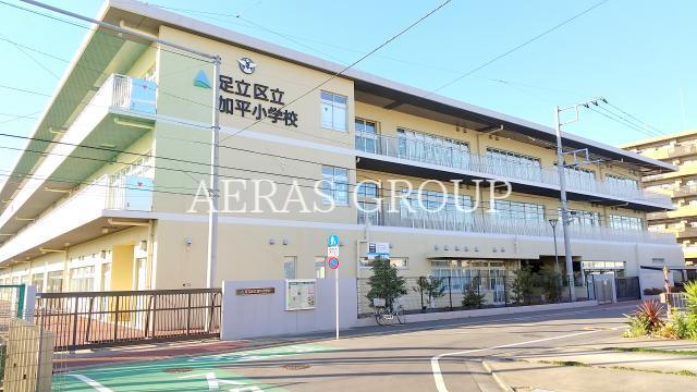 小学校　足立区立加平小学校（小学校）まで584m