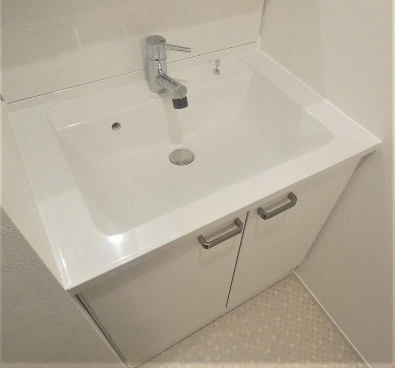 モンステラのその他写真