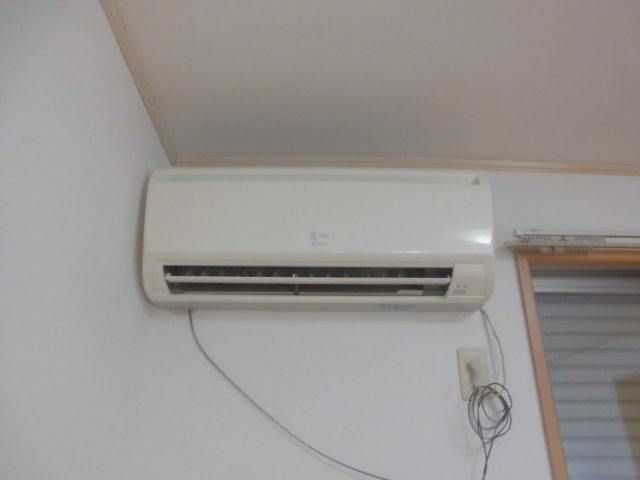 fortunaのその他写真
