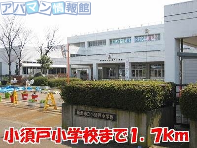 小学校　小須戸小学校（小学校）まで1700m
