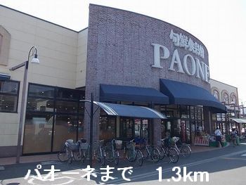 その他　パオーネまで1300m