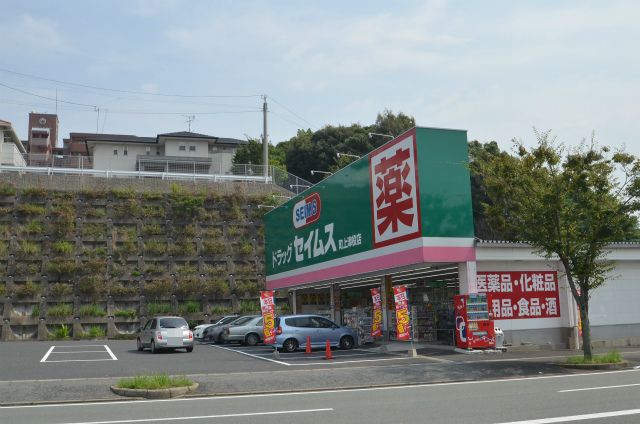 ドラックストア　セイムス上津役店（ドラッグストア）まで1387m