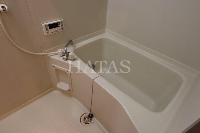 バス・シャワールーム　同物件別部屋です。