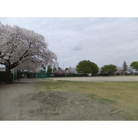 【ハイツＴＢＳ　Ｂ棟の公園】