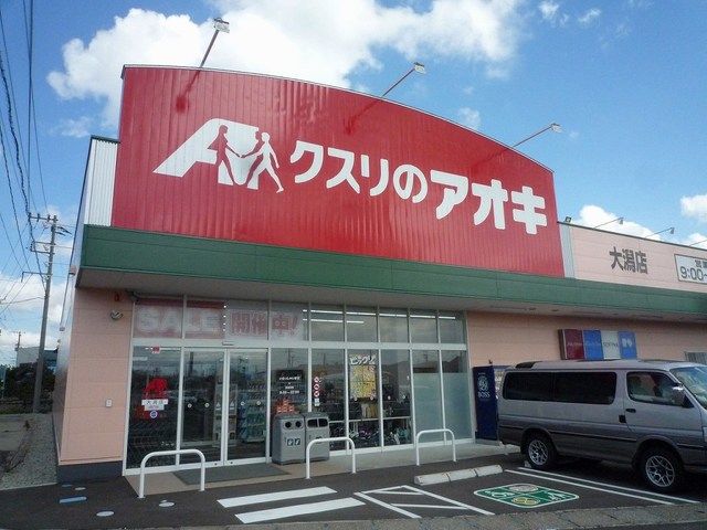 【上越市大潟区潟町のアパートのドラックストア】