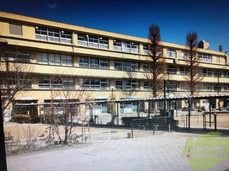 小学校　西宮市立鳴尾小学校（小学校）まで745m