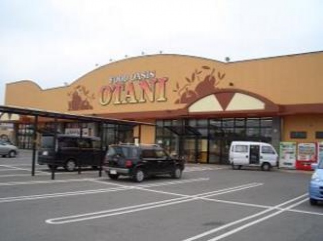 スーパー　フードオアシスOTANI五代店（スーパー）まで1054m