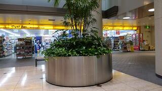 ドラックストア　薬マツモトキヨシ 秦野駅前北口店（ドラッグストア）まで283m