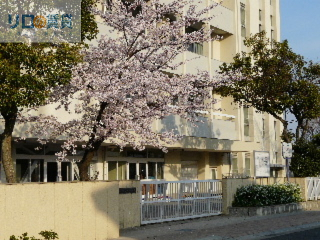 中学校　伊丹市立松崎中学校（中学校）まで918m
