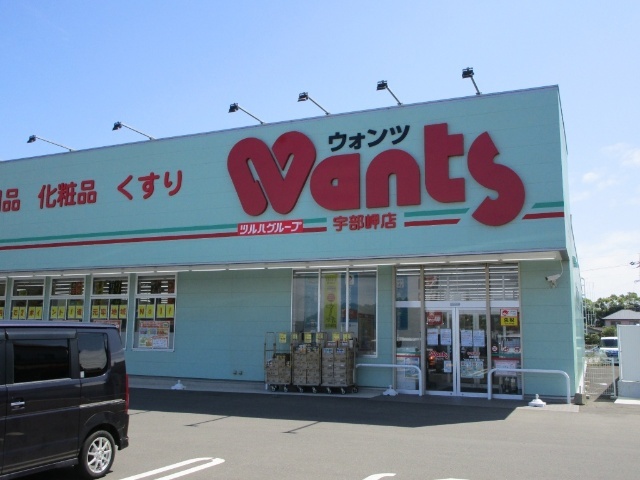 ドラックストア　ウォンツ宇部東見初店（ドラッグストア）まで733m