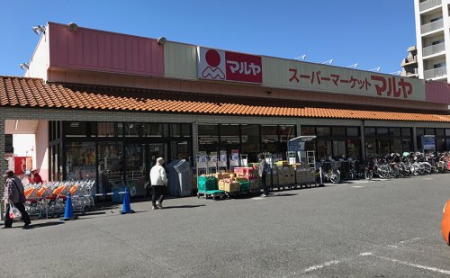 スーパー　マルヤ 南流山店（スーパー）まで538m