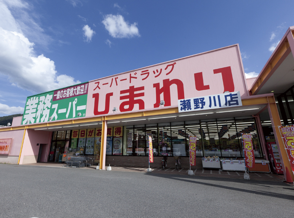 【広島市安芸区中野のアパートのドラックストア】